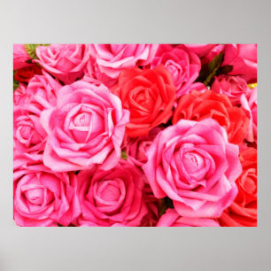 Schöne Rosen und Rosa Poster