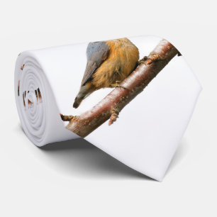 Schöne Rot-Breasted-Nuthatch an einer Zweigstelle Krawatte