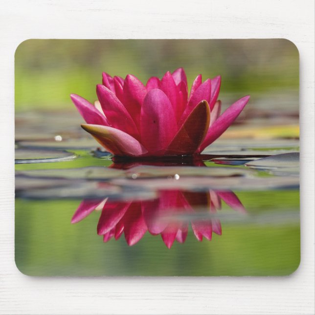 Schöne Rot-Floating-Wasserlilie Mousepad (Vorne)
