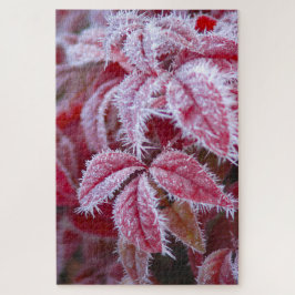 Schöne rote Blätter mit spitzen Frost. Puzzle