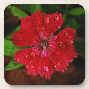 Schöne rote Blume mit Raindrops-Foto Getränkeuntersetzer