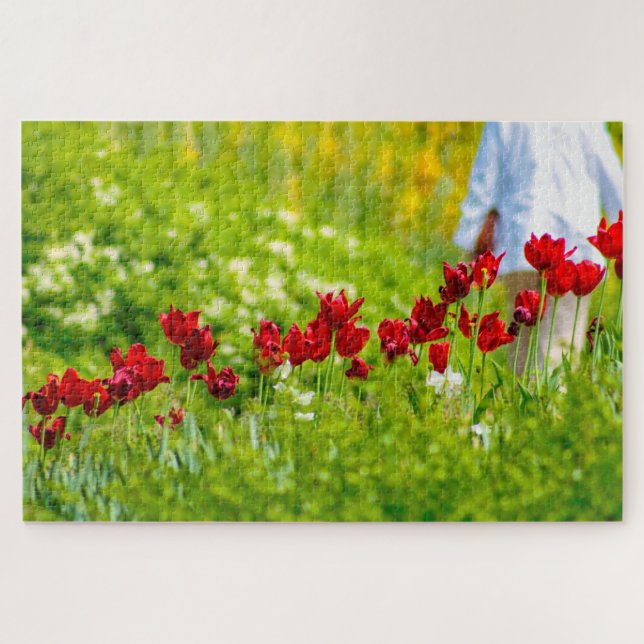 Schöne rote Blume, Niederlande Puzzle (Horizontal)
