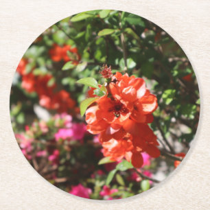 Schöne rote Blüte, fotografisch floral Runder Pappuntersetzer