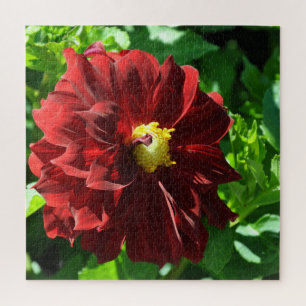 Schöne rote Dahlia Puzzle