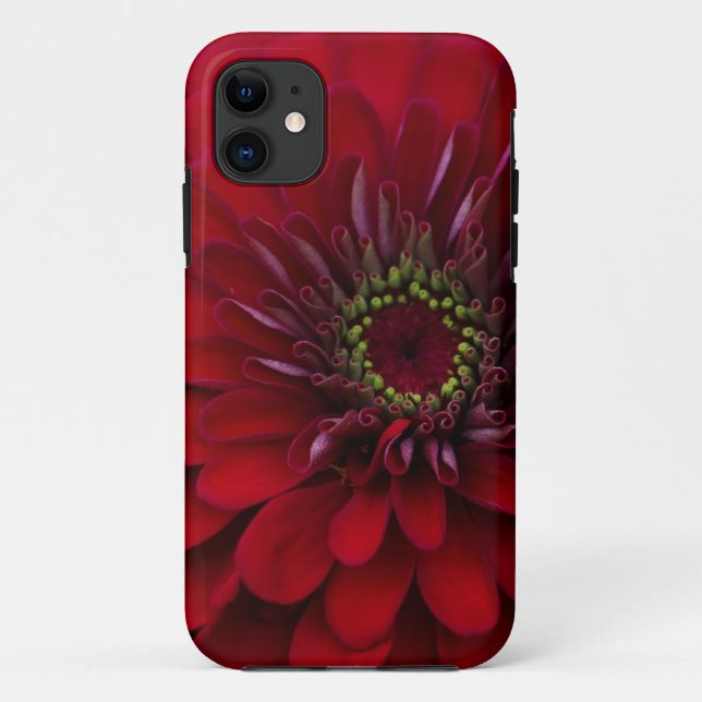 Schöne rote Gartenzinnia-Blume Case-Mate iPhone Hülle (Rückseite)