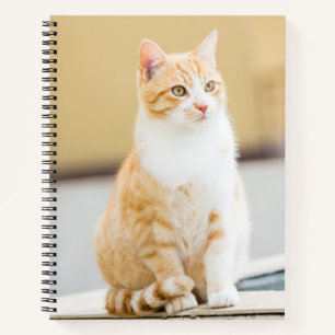 Schöne rote Katze Notizbuch