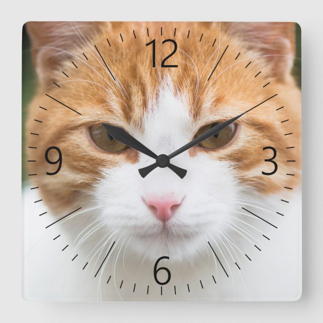Schöne rote Katze Quadratische Wanduhr (Vorderseite)