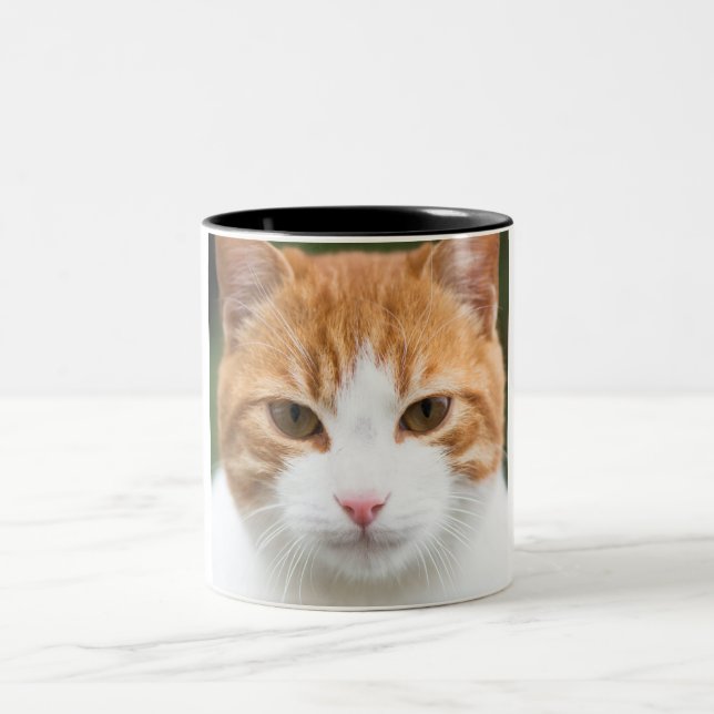 Schöne rote Katze Zweifarbige Tasse (Mittel)