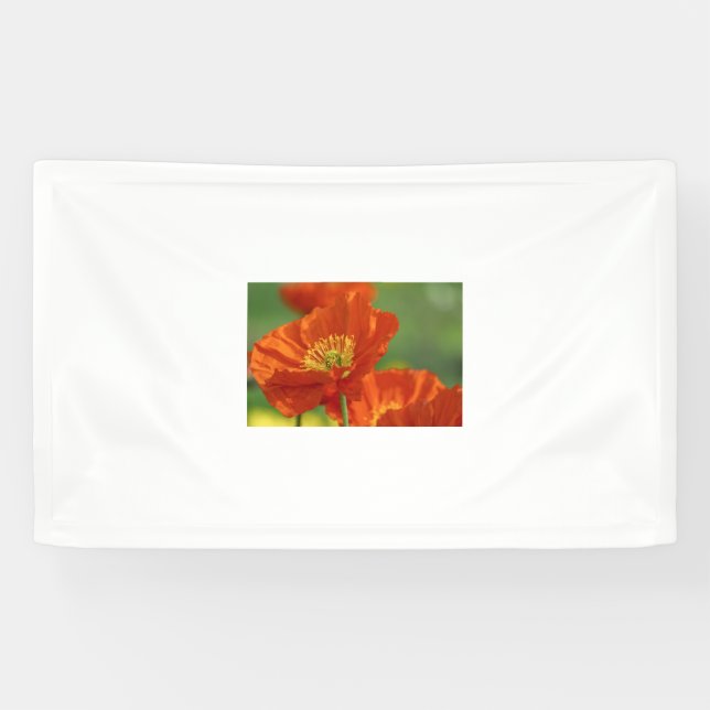 Schöne rote Poppy Banner (Horizontal)