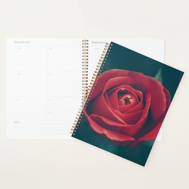Schöne Rote Rose Blume Planer (Anzeige)