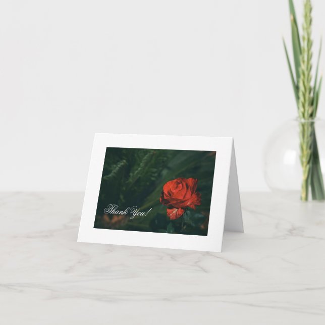 Schöne Rote Rose Danke Karte (Vorderseite)