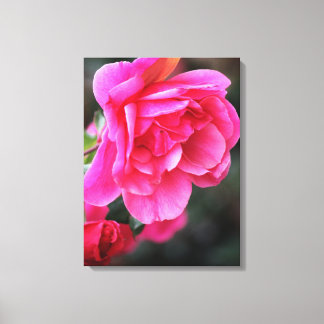 Schöne rote Rose Foto Leinwanddruck
