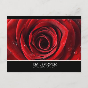 Schöne Rote Rose Hochzeit RSVP Postkarte - Schwarz