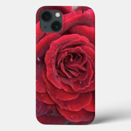 Schöne rote Rose iPhone 13 Fall Case-Mate iPhone Hülle