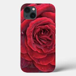 Schöne rote Rose iPhone 13 zähe Gehäuse Case-Mate iPhone Hülle