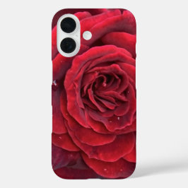 Schöne rote Rose iPhone 16 kaum dort Fall Hülle