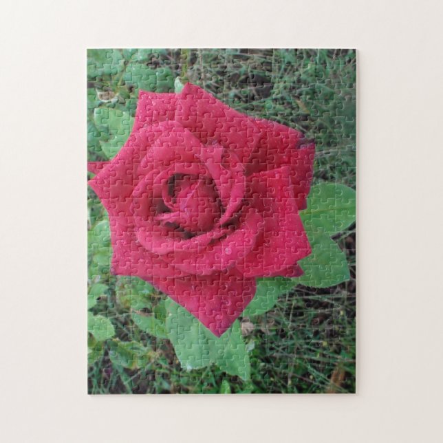 Schöne Rote Rose mit Raindrops Puzzle (Vertikal)