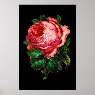 SCHÖNE ROTE ROSE POSTER