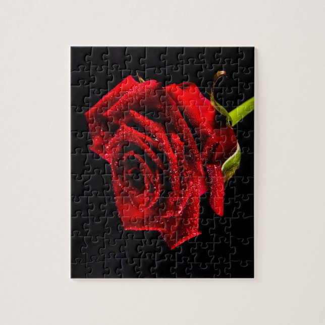 Schöne rote Rose Puzzle (Vertikal)