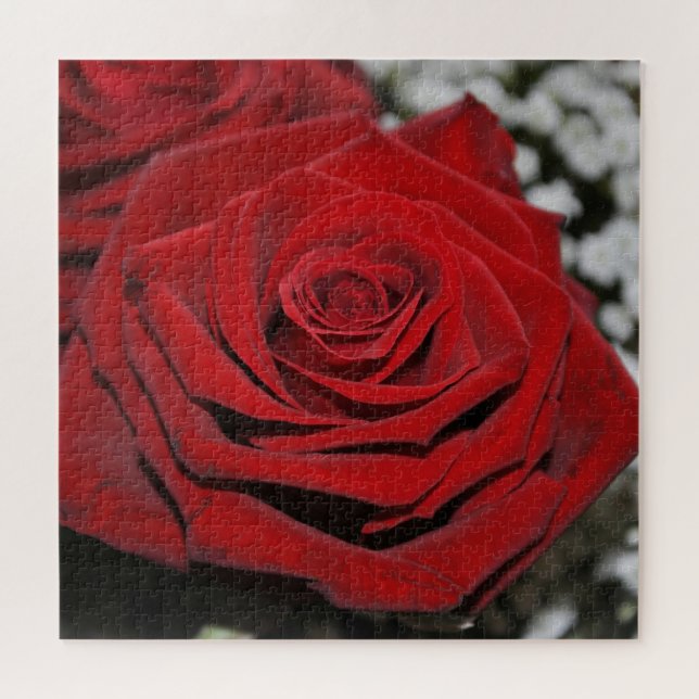 Schöne Rote Rose Puzzle (Horizontal)