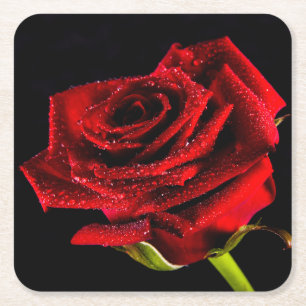 Schöne rote Rose Rechteckiger Pappuntersetzer