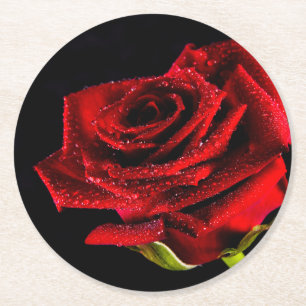 Schöne rote Rose Runder Pappuntersetzer