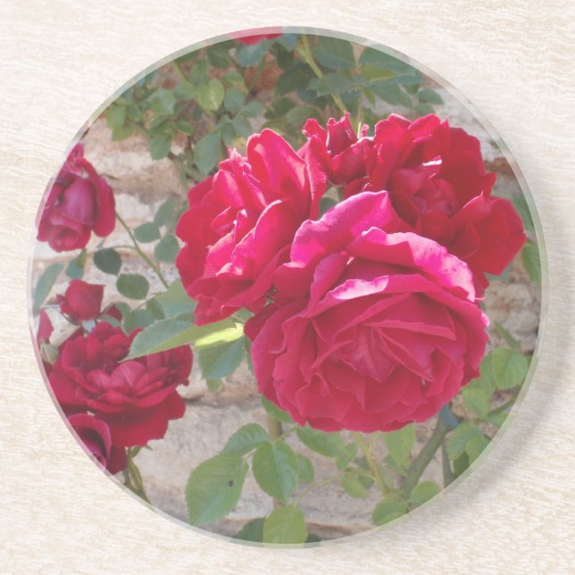 Schöne Rote Rose Sandstein Untersetzer (Vorne)