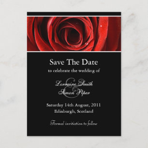 Schöne Rote Rose Save the Date Postkarte
