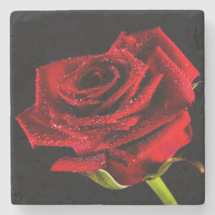 Schöne rote Rose Steinuntersetzer