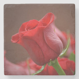 Schöne Rote Rose Steinuntersetzer