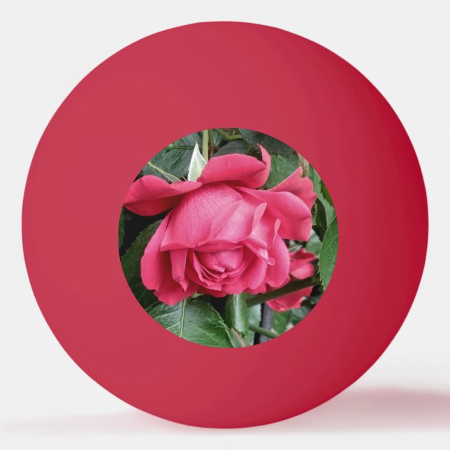 Schöne Rote Rose Tischtennisball (Vorderseite)