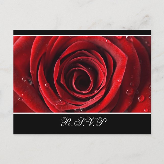 Schöne Rote Rose Wedding RSVP - Black Einladungspostkarte (Vorderseite)