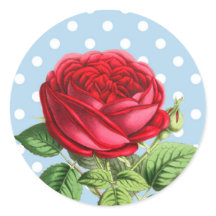 Schöne rote Rosenaufkleber