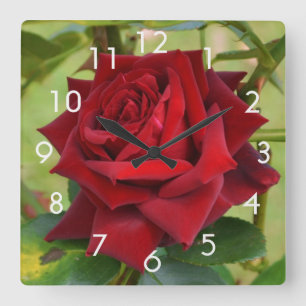 Schöne rote Rosenwanduhr Quadratische Wanduhr