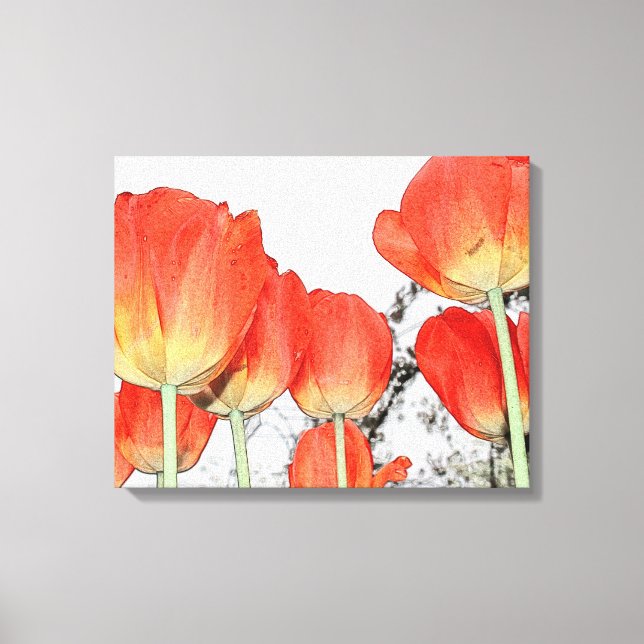 schöne rote Tulpe-Blume Leinwanddruck (Vorderseite)