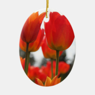 Schöne rote Tulpenblumen. Keramikornament