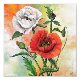 Schöne rote weiße Mohnblumen-Kunstmalerei Fotodruck