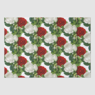 Schöne rote weiße Rosen alte Botanik Seidenpapier