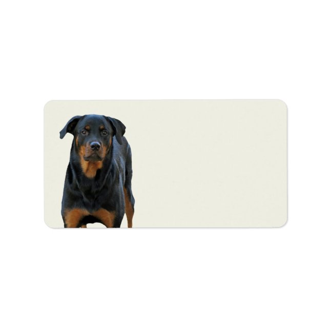 Schöne Rottweiler Labels Adressaufkleber (Vorne)