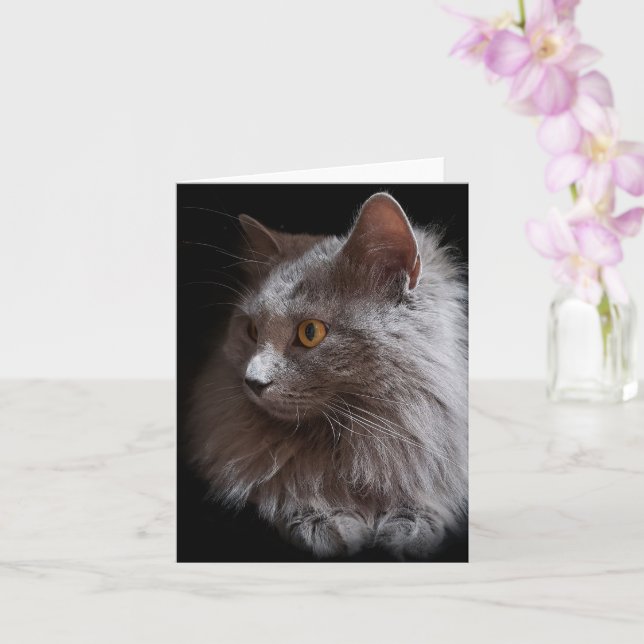 Schöne Russisch Blue Gray Cat Nebelung Blank Karte (Orchidee)