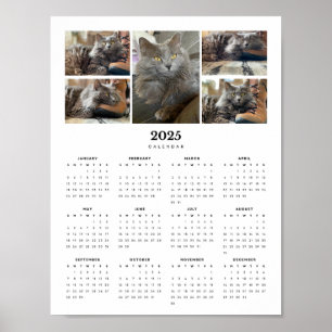 Schöne Russische Blaue Nebelung Katze 2025 Kalende Poster