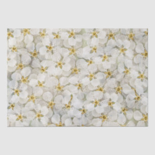 Schöne rustikale kleine, weiße Blume-Cluster Seidenpapier