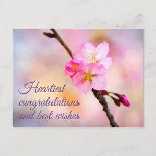 Schöne Sakura-Kirschblüten-Postkarte Postkarte