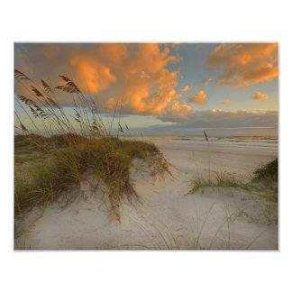 Schöne Sanddünen am Strand von Daytona, FL Fotodruck