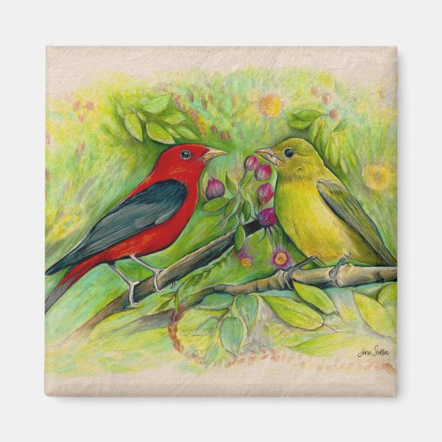 Schöne Scarlet Tanager Aquarellmalerei Magnet (Vorne)