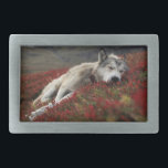 Schöne schlafende Wolf Gürtelschnalle<br><div class="desc">Das ist ein wunderschöner,  schlafender Wolf-Gürtelschnalle</div>
