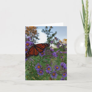 Schöne Schmetterlinge auf Kornblumen  Karte