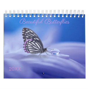 Schöne Schmetterlinge Fotografie Kalender