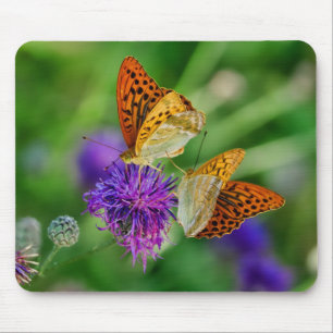 Schöne Schmetterlinge Mousepad