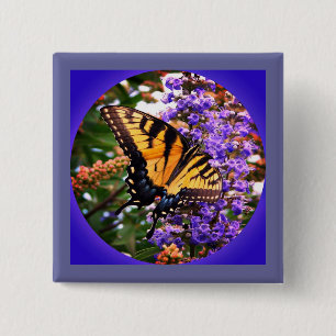 Schöne Schmetterlinge Pinback-Button Button